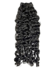 Burmese Curly