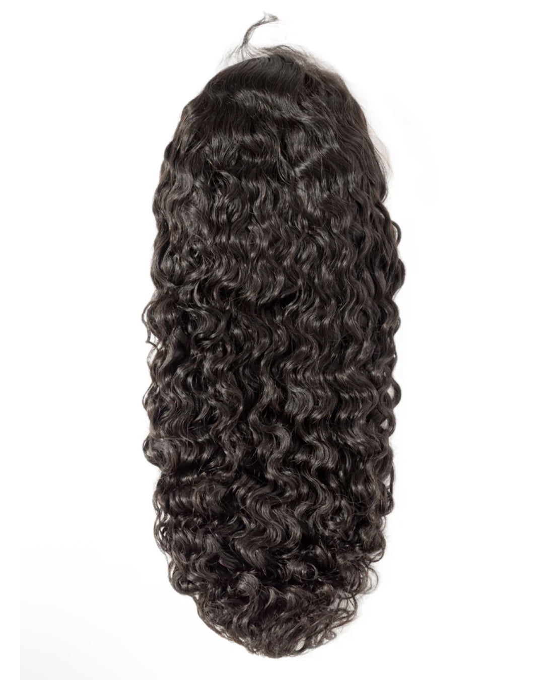 Raw Brazilian Curly HD Lace Wigs