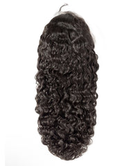 Raw Brazilian Curly HD Lace Wigs